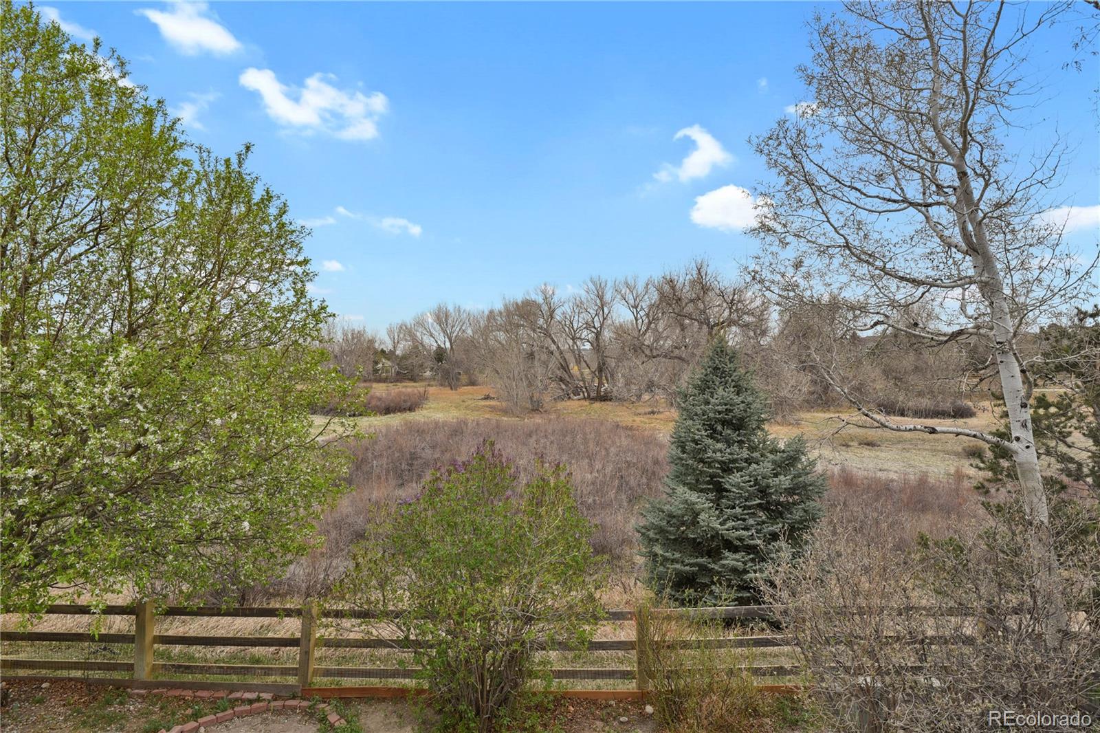11852 Meadowood Lane Parker CO 80138