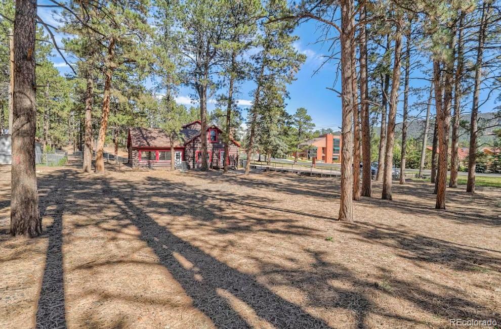 312 N West Street Woodland Park CO 80863