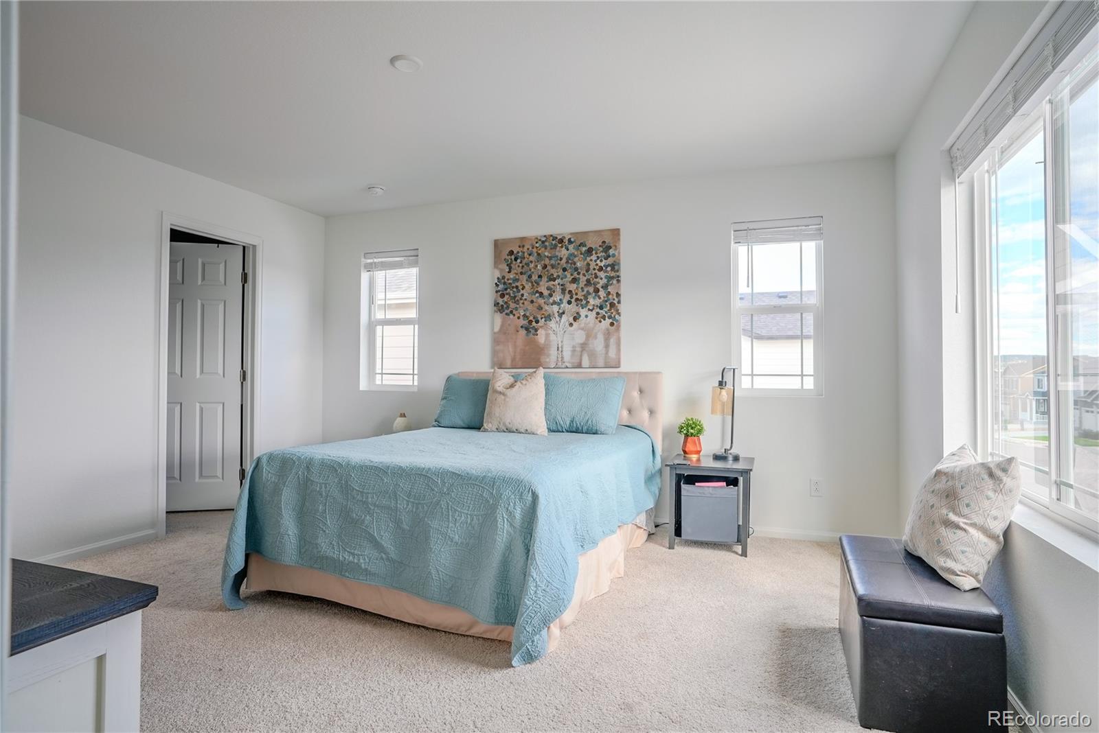 2266 Prairie Smoke Drive Monument CO 80132