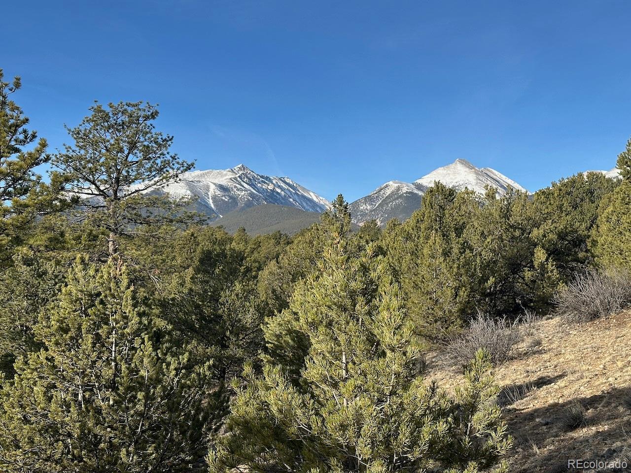 12880 County Road 261b Nathrop CO 81236
