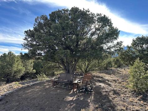 12880 County Road 261b Nathrop CO 81236