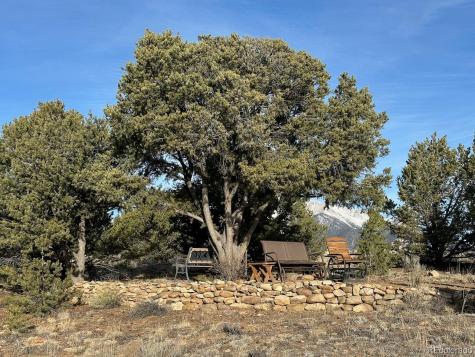 12880 County Road 261b Nathrop CO 81236