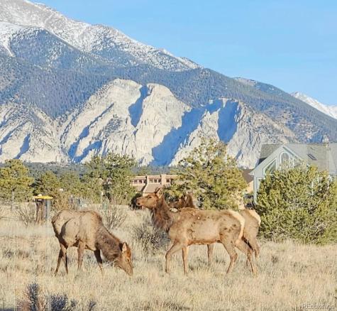 12880 County Road 261b Nathrop CO 81236