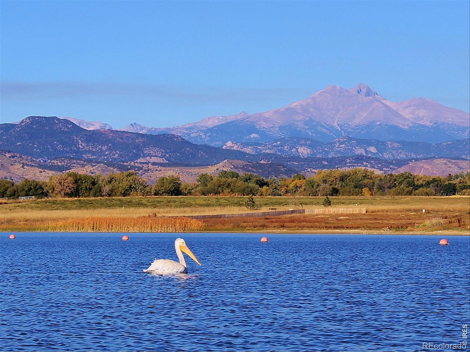 2288 Spinnaker Circle Longmont CO 80503