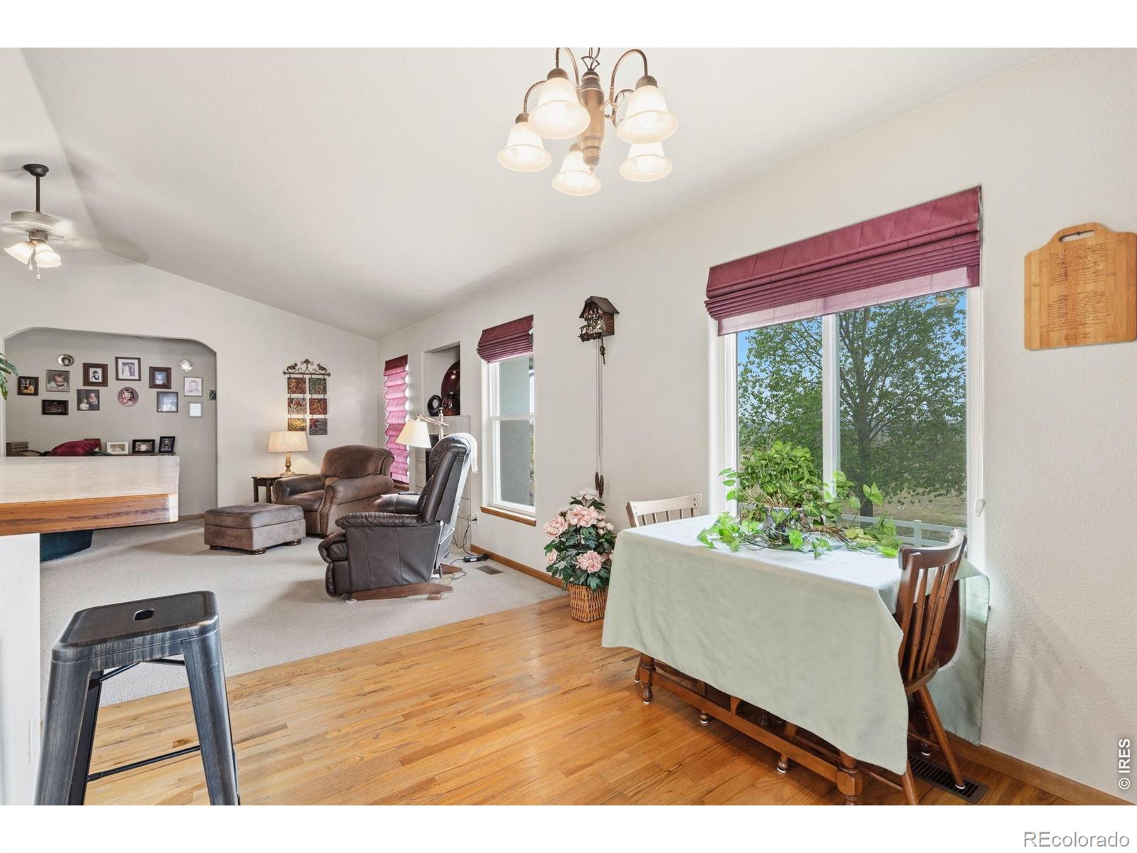 3120 Woodbine Lane Johnstown CO 80534