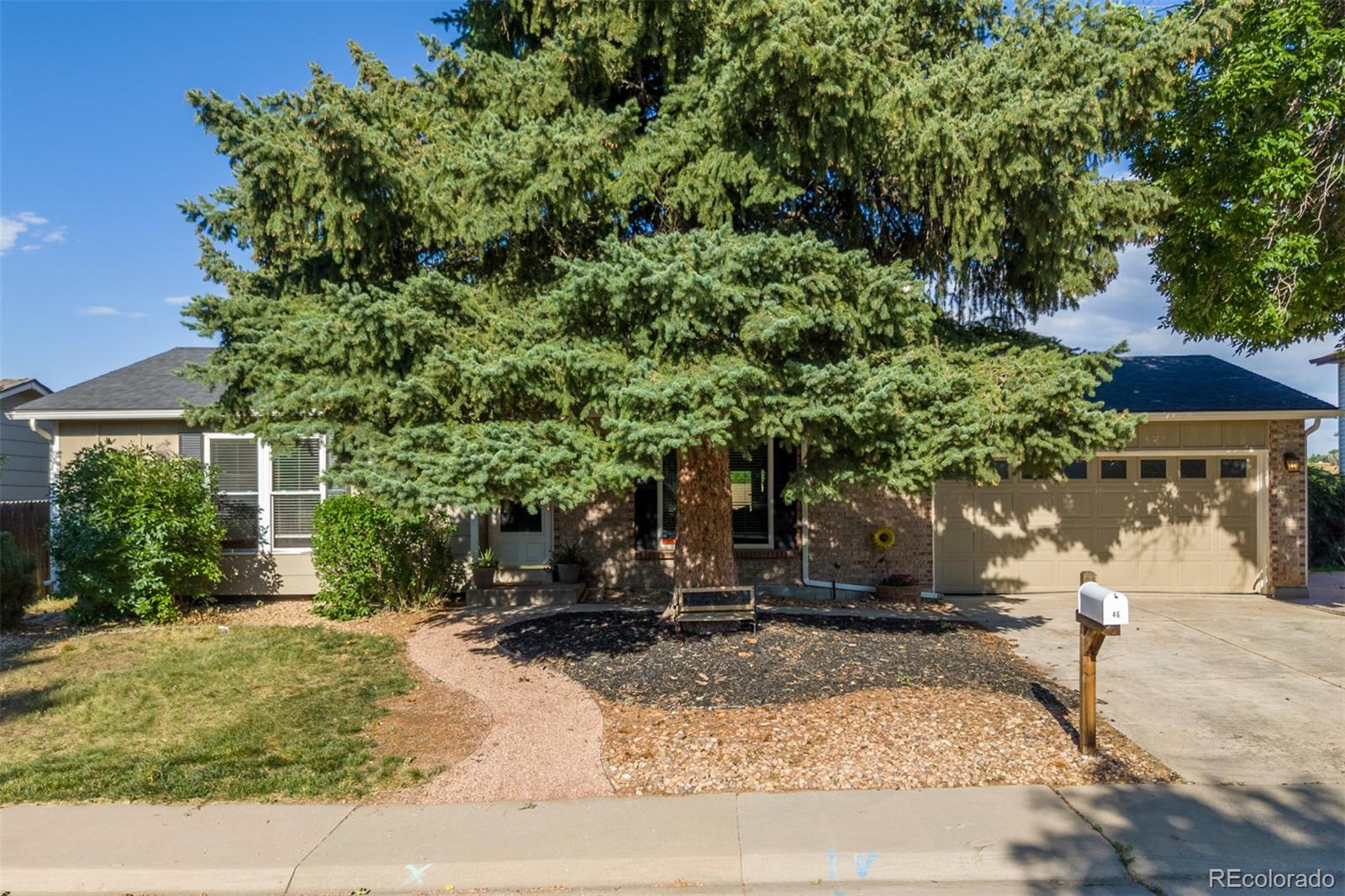 1246 S Telluride Street Aurora CO 80017