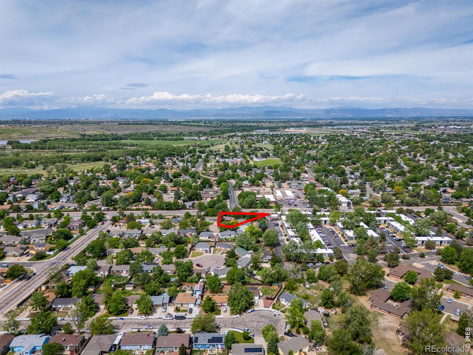 904 Foothills Court Windsor CO 80550