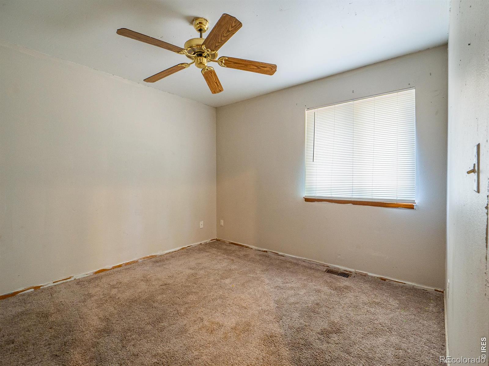 904 Foothills Court Windsor CO 80550