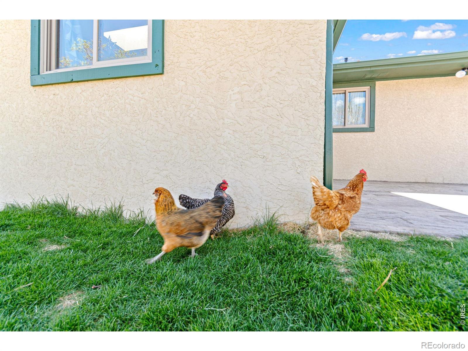 6701 Orchard Drive Loveland CO 80538