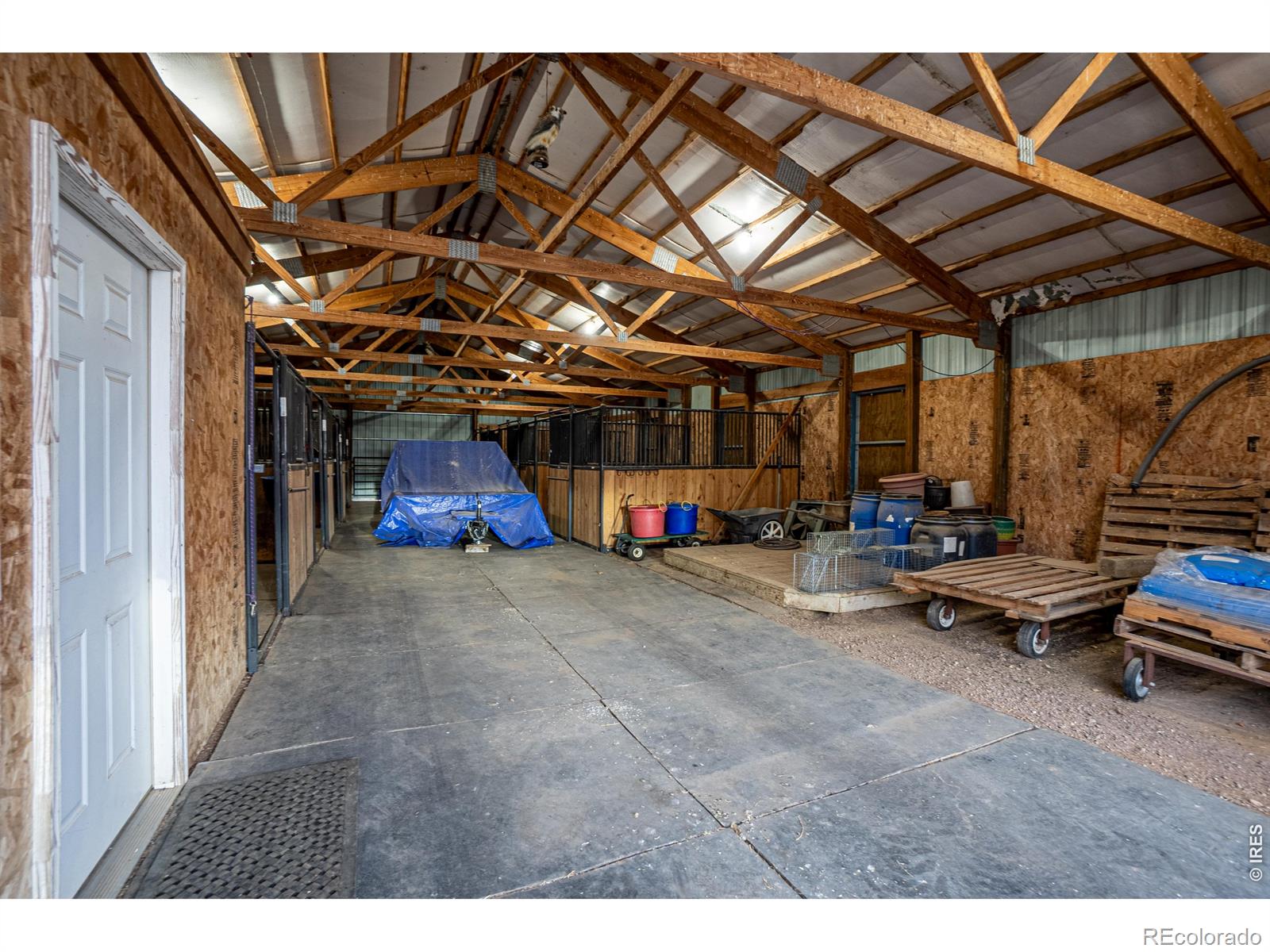 1730 Avian Drive Fort Collins CO 80524