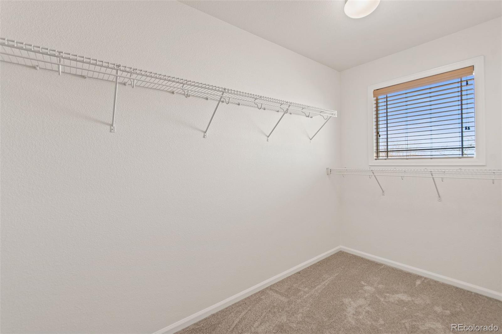 2908 Open Sky Way Castle Rock CO 80109