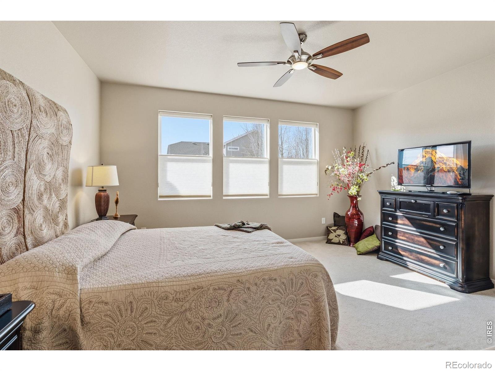3871 Peach Street Wellington CO 80549
