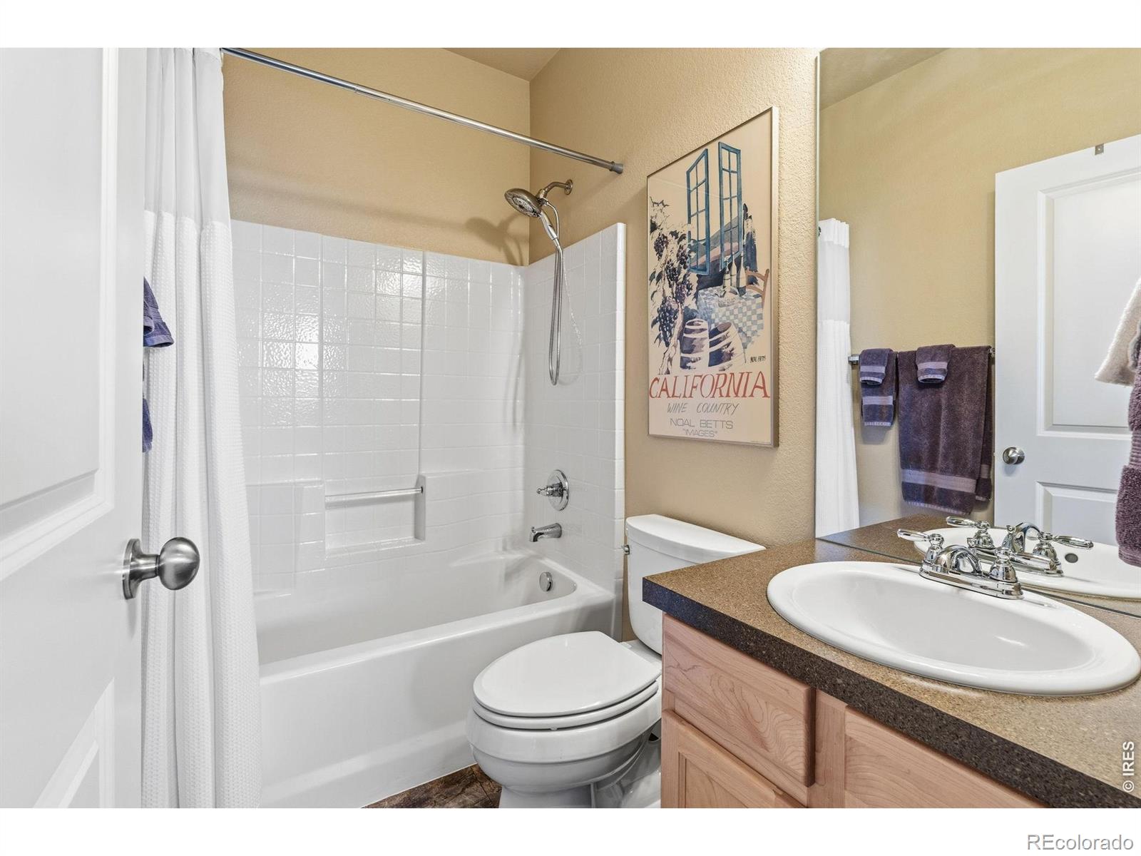 3871 Peach Street Wellington CO 80549