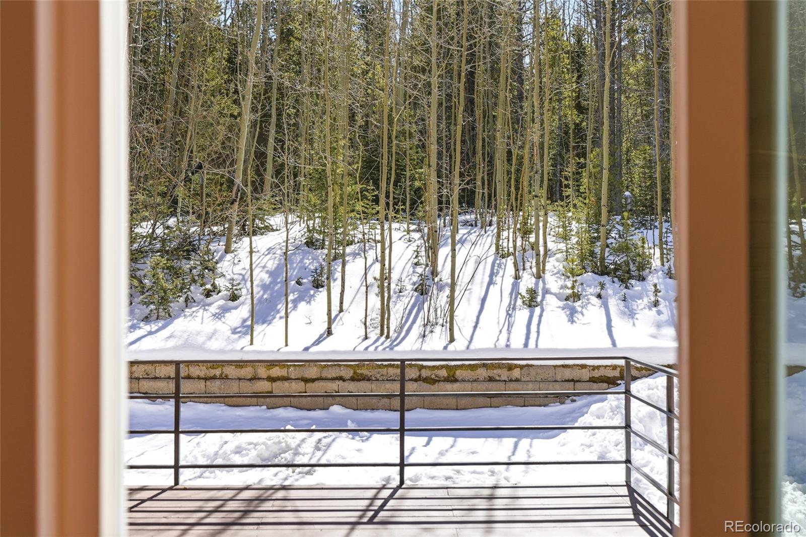 1645 Little Bear Creek Road Idaho Springs CO 80452