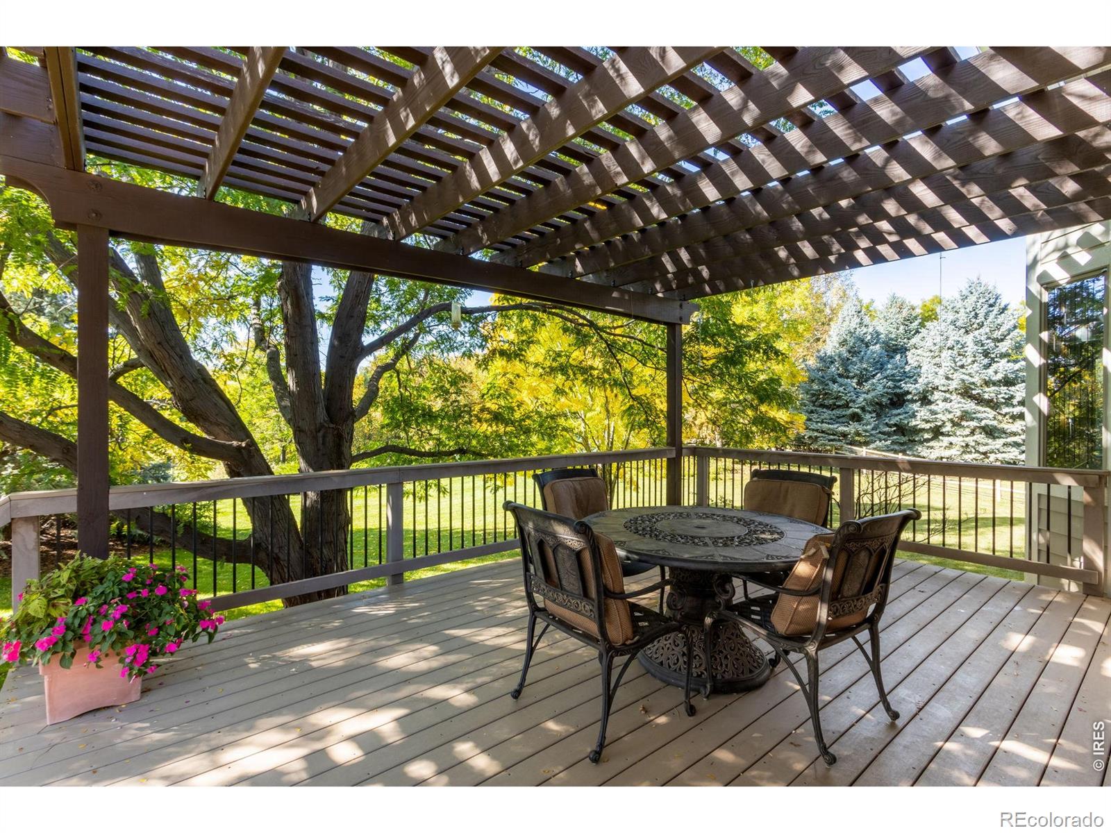 525 Linden View Drive Fort Collins CO 80524