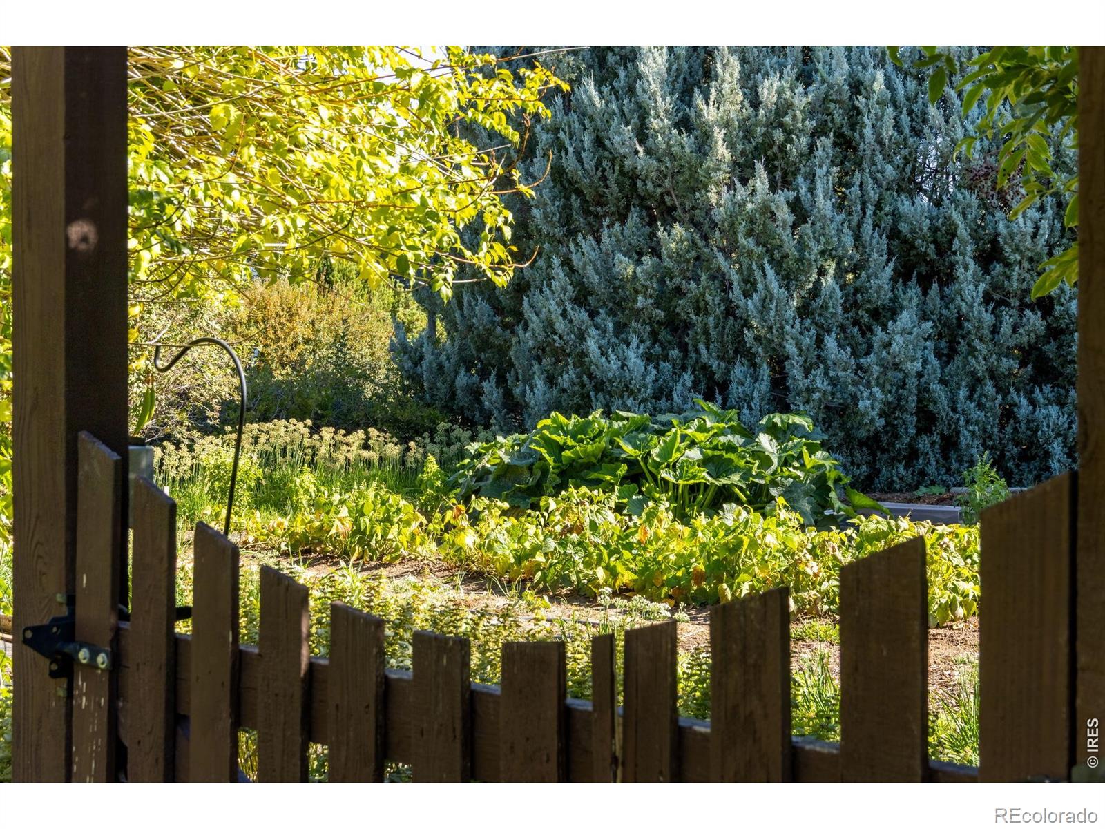 525 Linden View Drive Fort Collins CO 80524