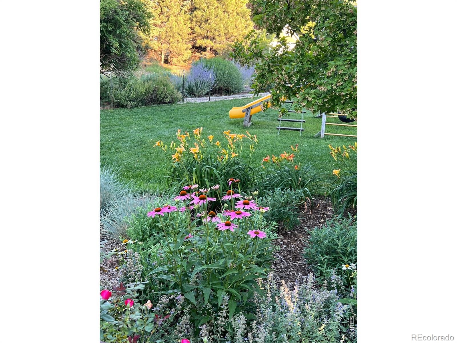 525 Linden View Drive Fort Collins CO 80524