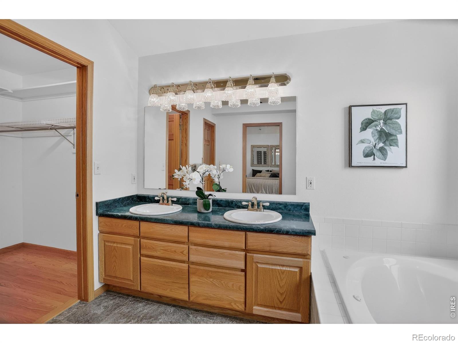2224 Smallwood Drive Fort Collins CO 80528