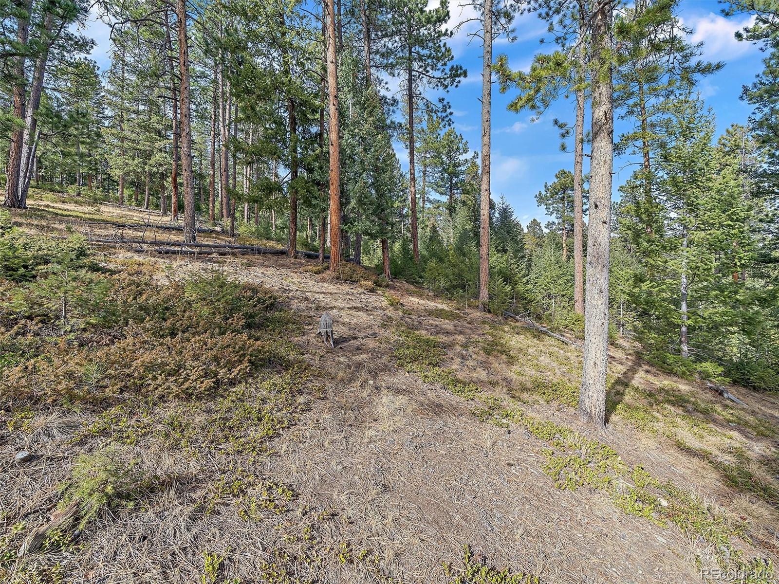 6752 S Columbine Road Evergreen CO 80439