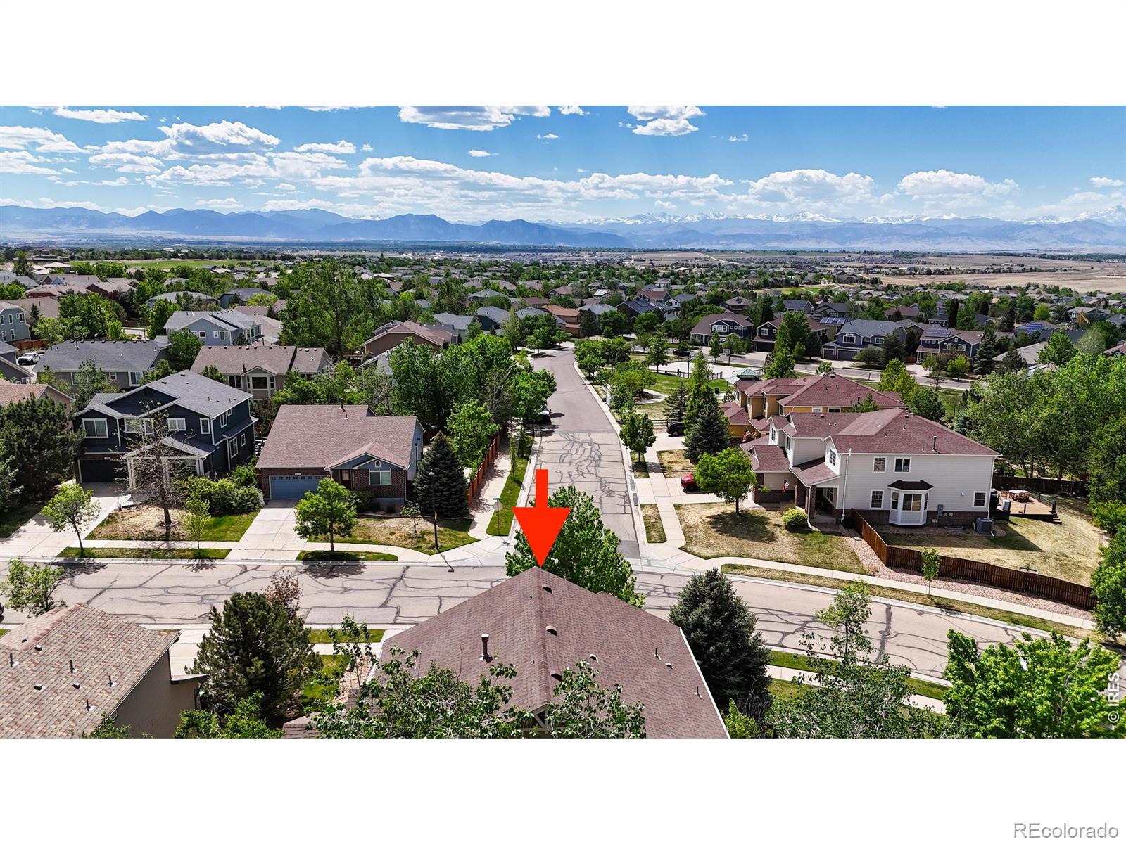 2241 Ponderosa Place Erie CO 80516
