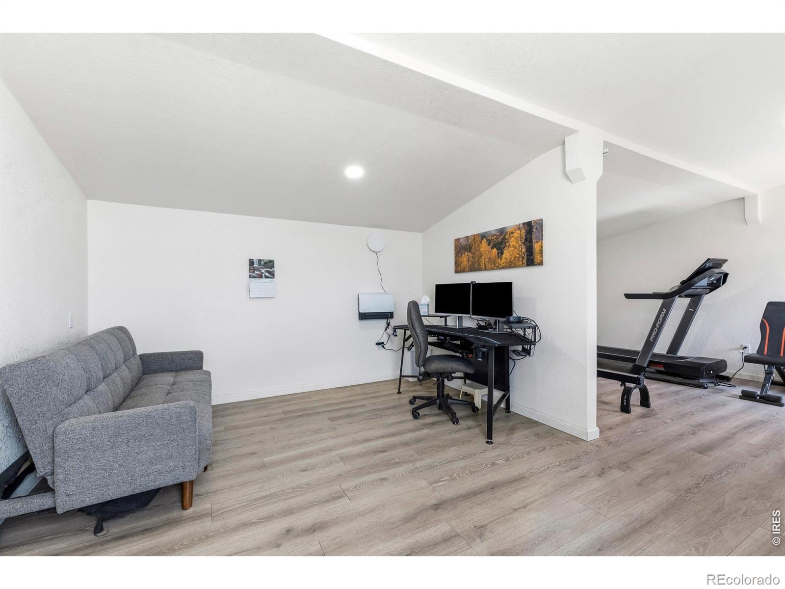 795 Sundance Drive Livermore CO 80536