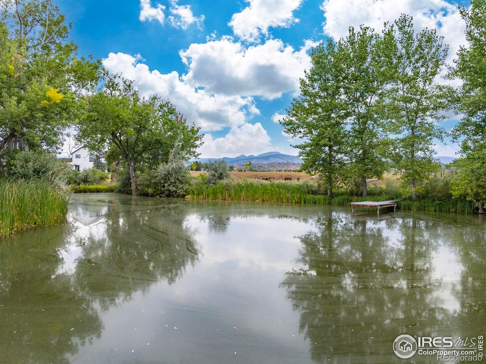 5794 Jackdaw Drive Loveland CO 80537
