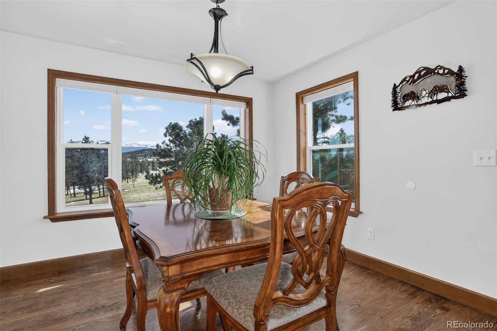 4797 County Road 42 Divide CO 80814