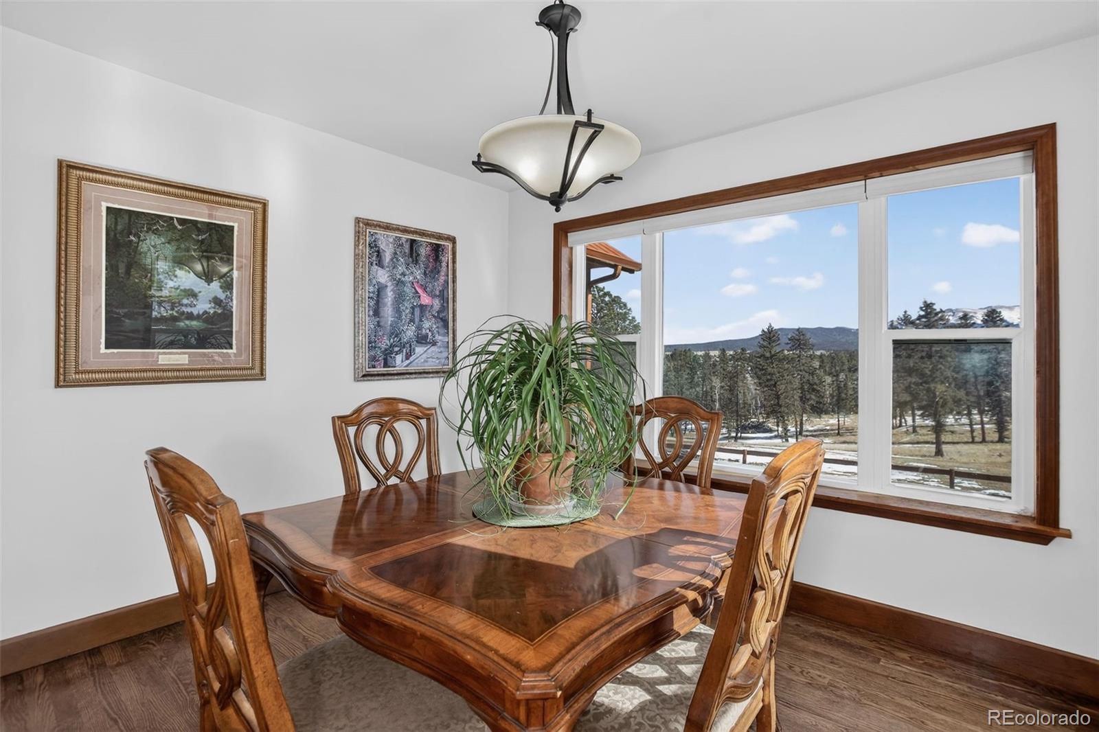 4797 County Road 42 Divide CO 80814