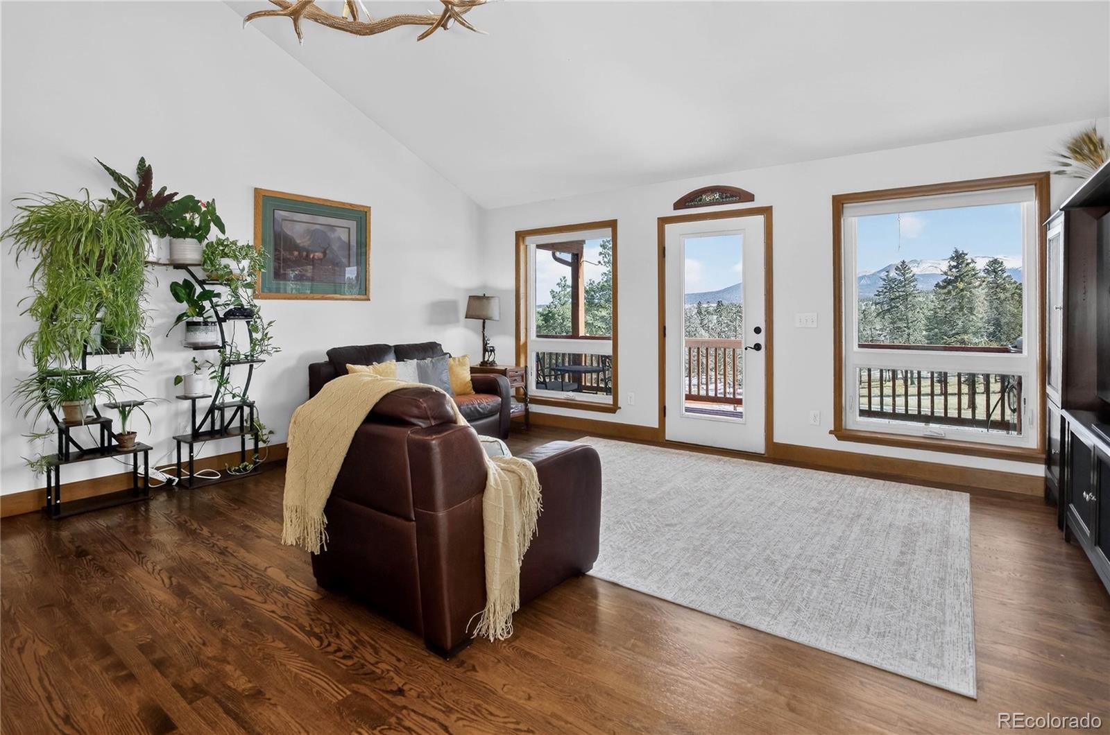 4797 County Road 42 Divide CO 80814