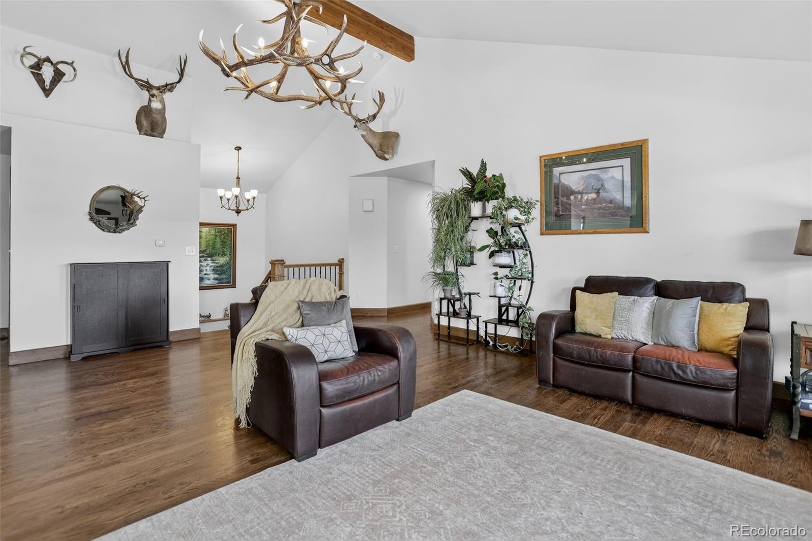 4797 County Road 42 Divide CO 80814