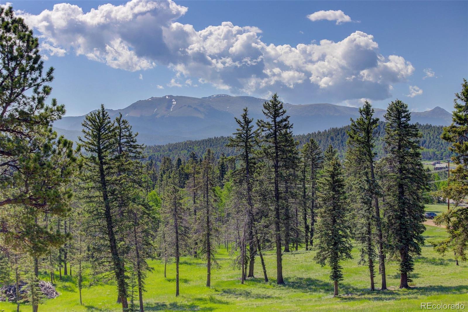 4797 County Road 42 Divide CO 80814