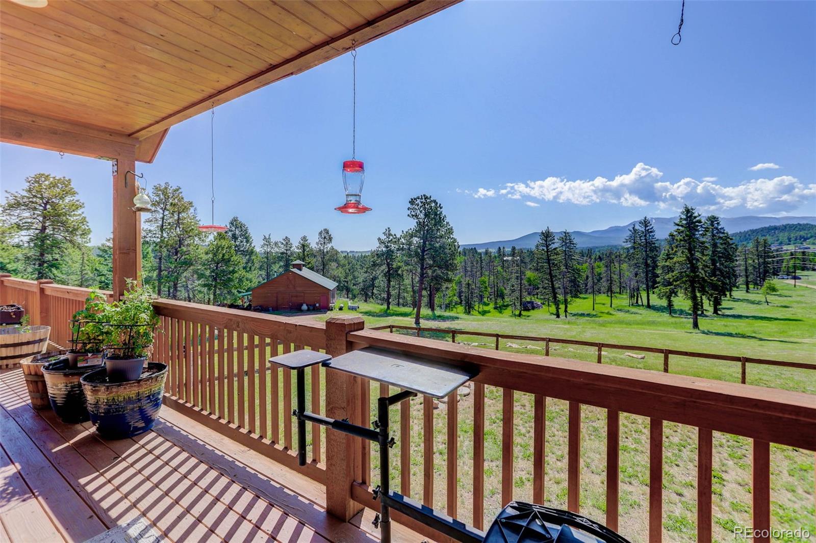 4797 County Road 42 Divide CO 80814