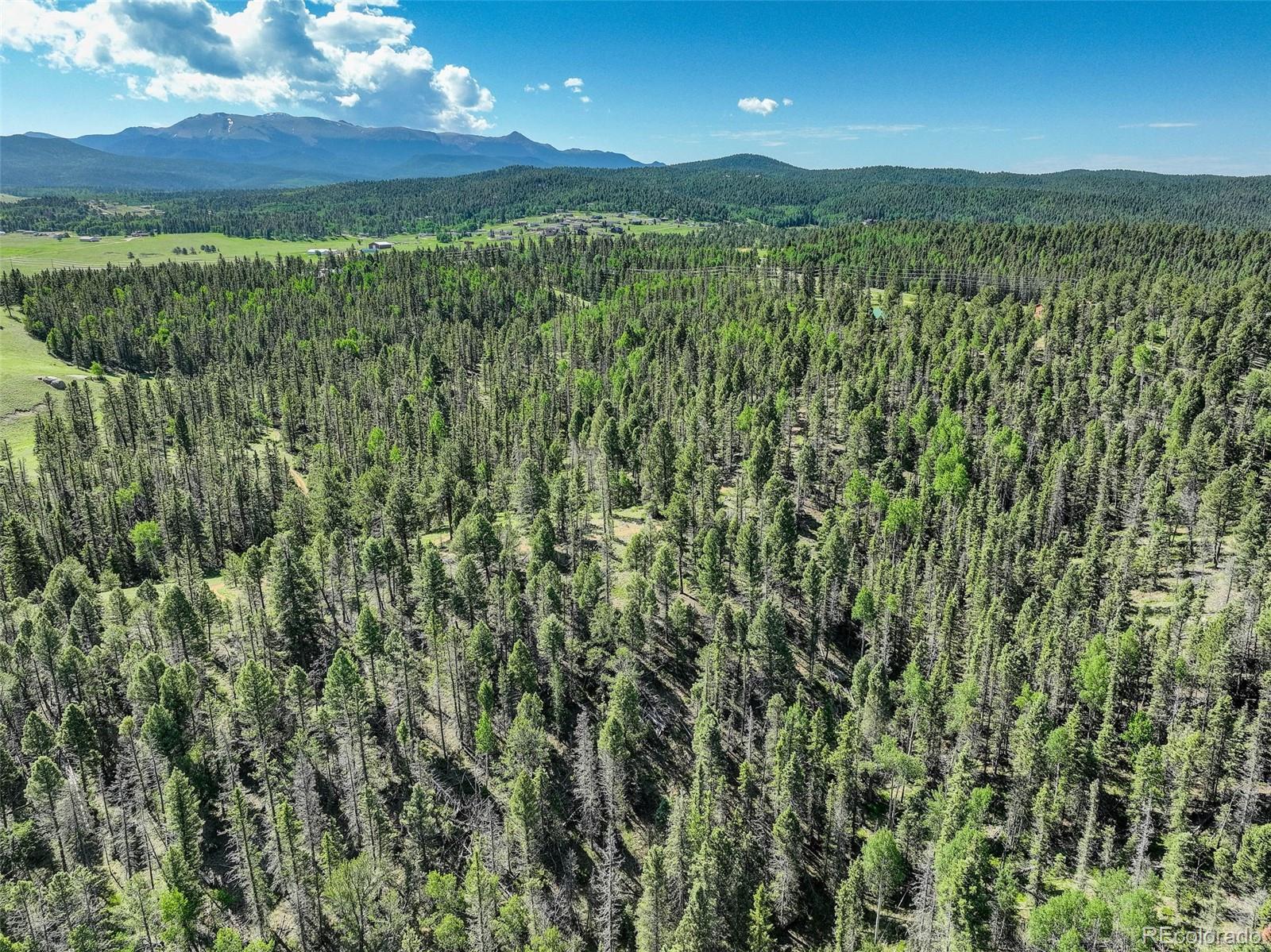 4797 County Road 42 Divide CO 80814