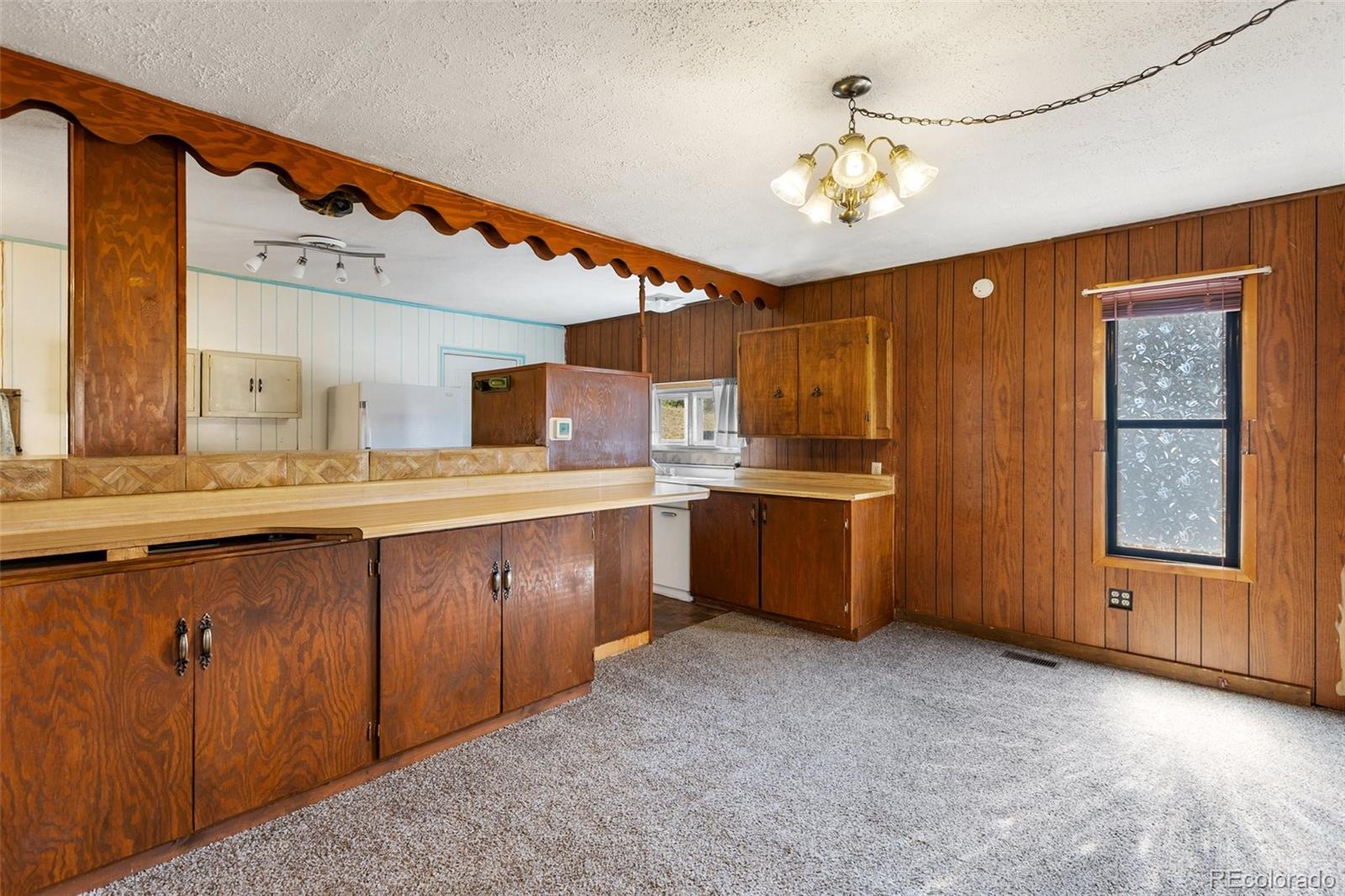 272 Spring Valley Trail Florissant CO 80816