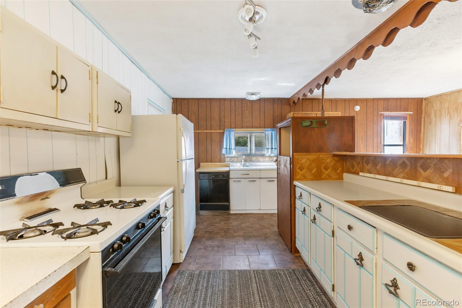 272 Spring Valley Trail Florissant CO 80816