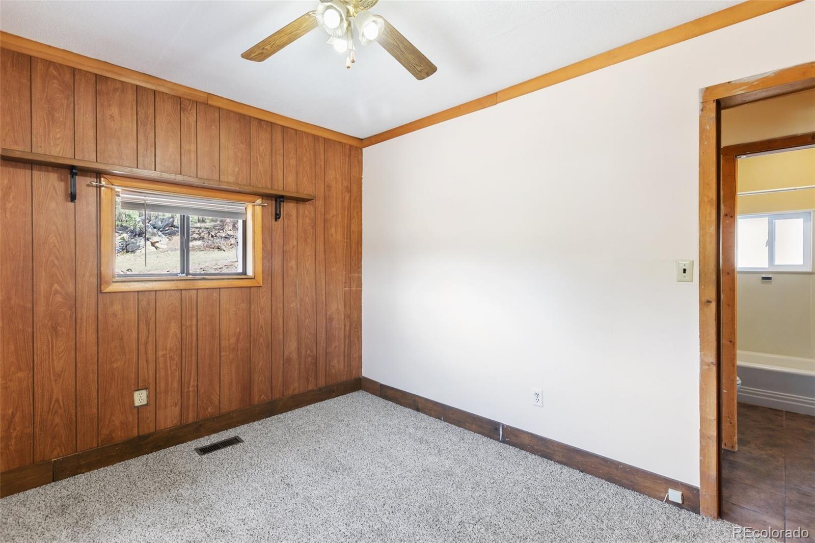 272 Spring Valley Trail Florissant CO 80816