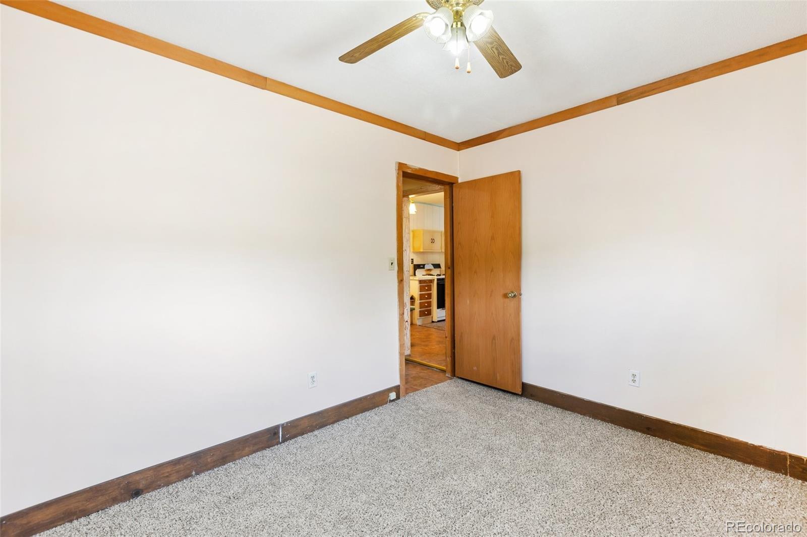 272 Spring Valley Trail Florissant CO 80816