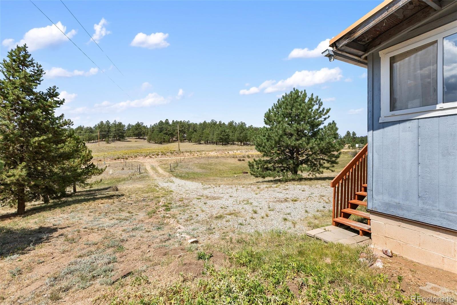 272 Spring Valley Trail Florissant CO 80816