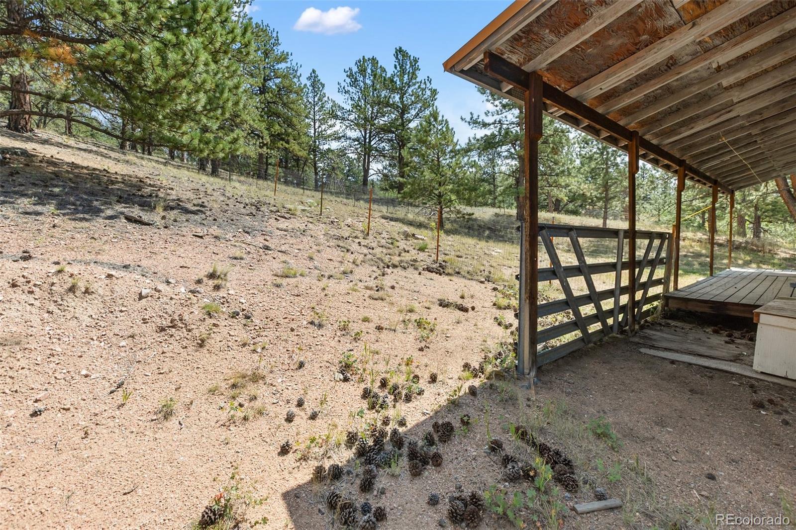 272 Spring Valley Trail Florissant CO 80816