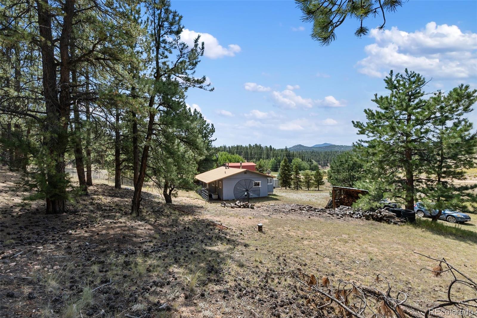 272 Spring Valley Trail Florissant CO 80816