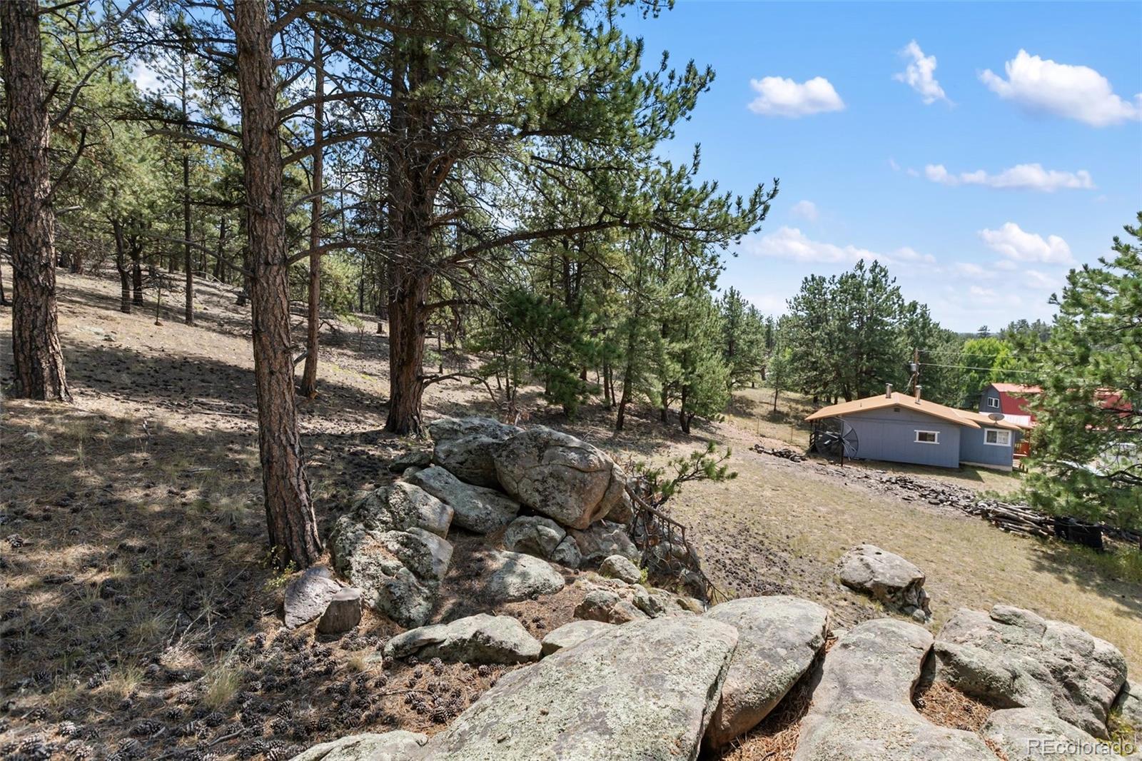 272 Spring Valley Trail Florissant CO 80816