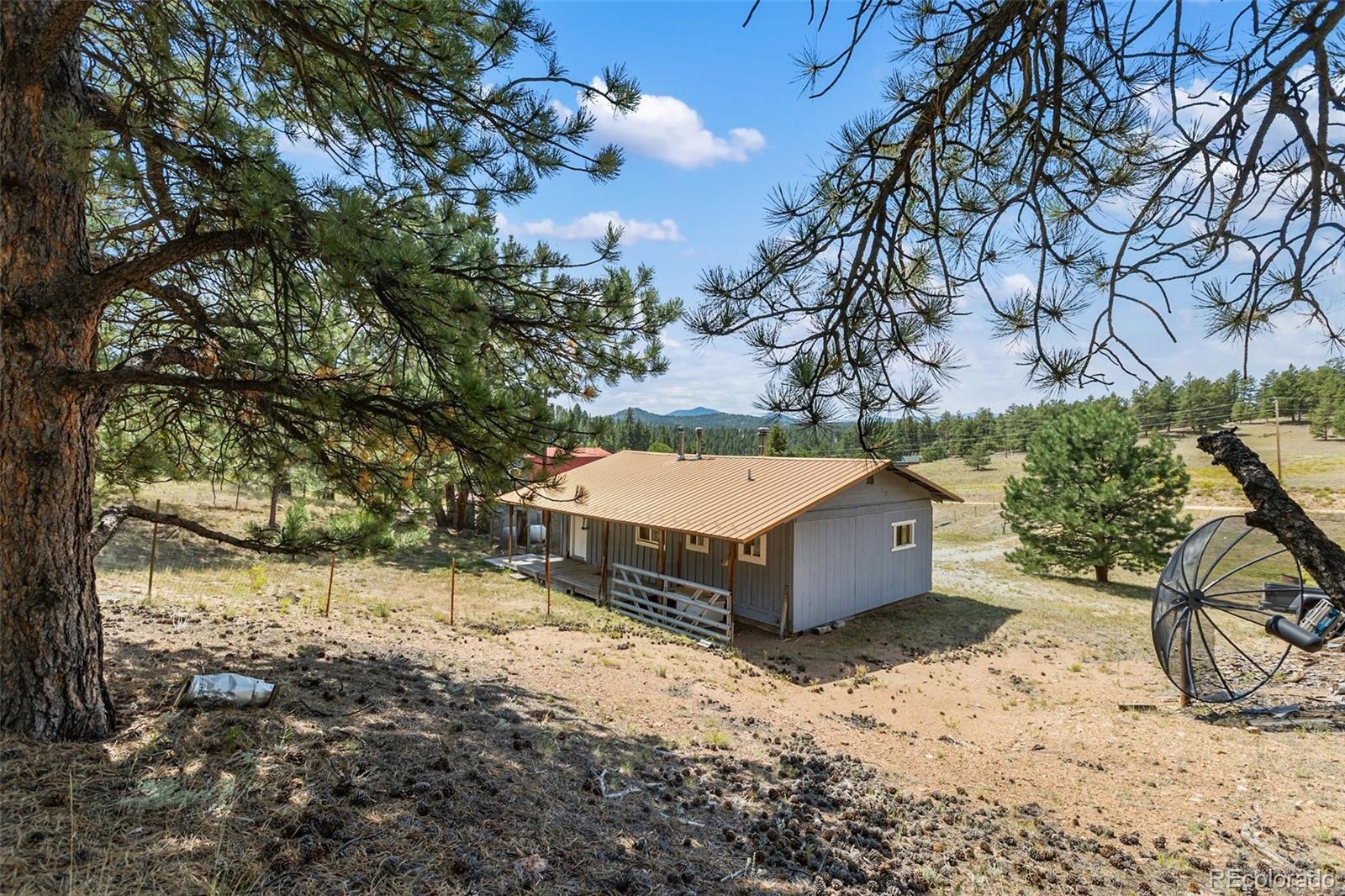 272 Spring Valley Trail Florissant CO 80816