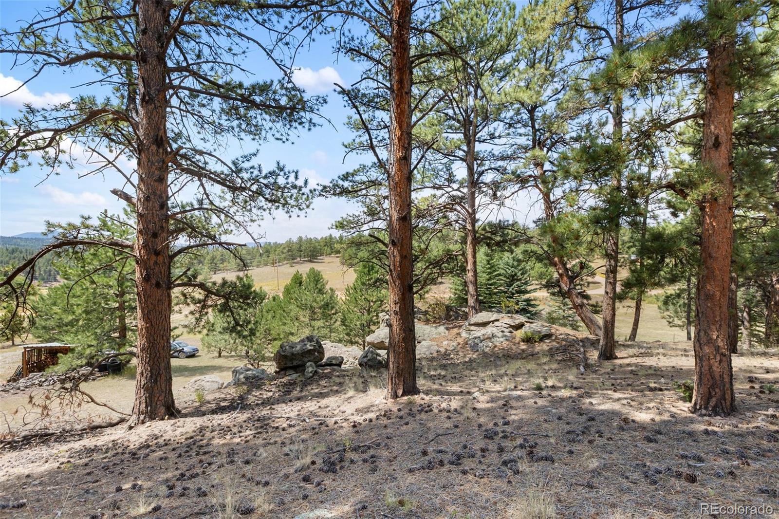 272 Spring Valley Trail Florissant CO 80816