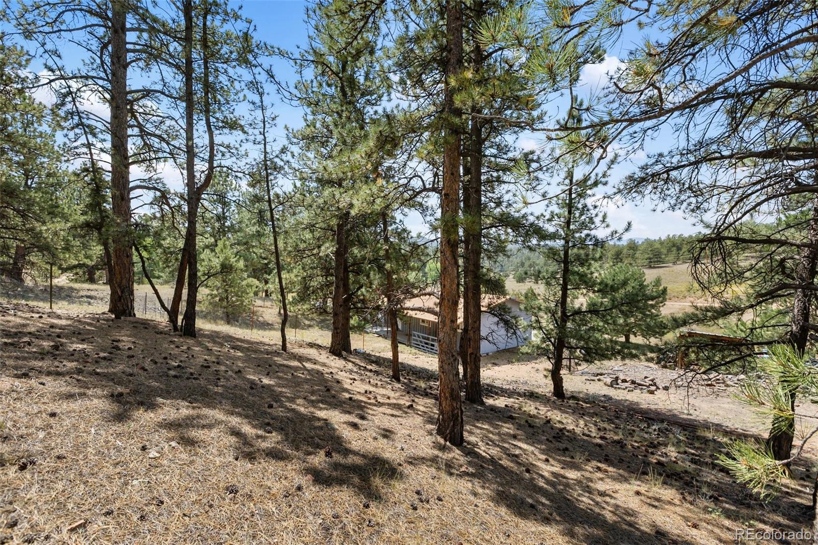 272 Spring Valley Trail Florissant CO 80816