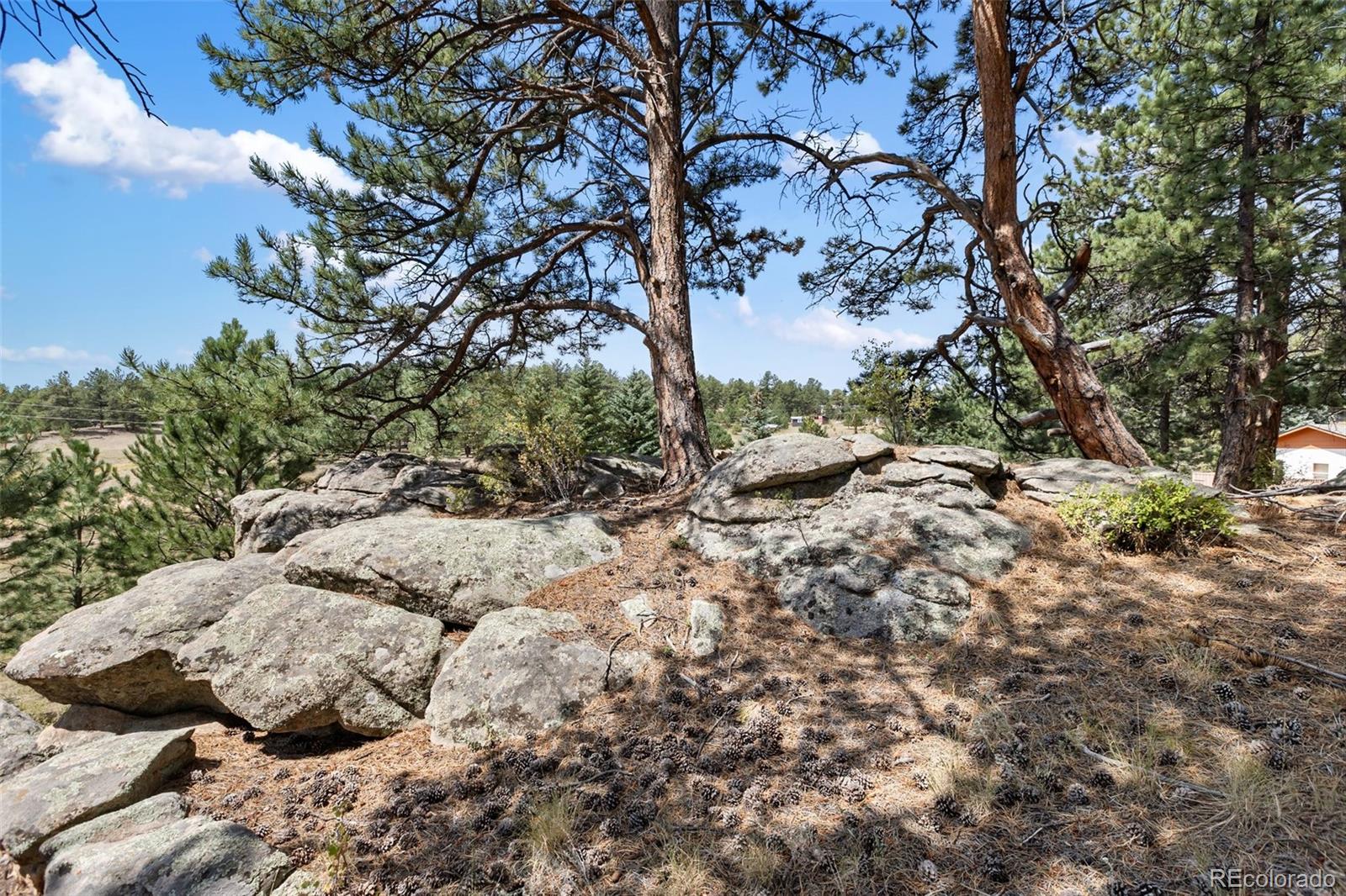272 Spring Valley Trail Florissant CO 80816