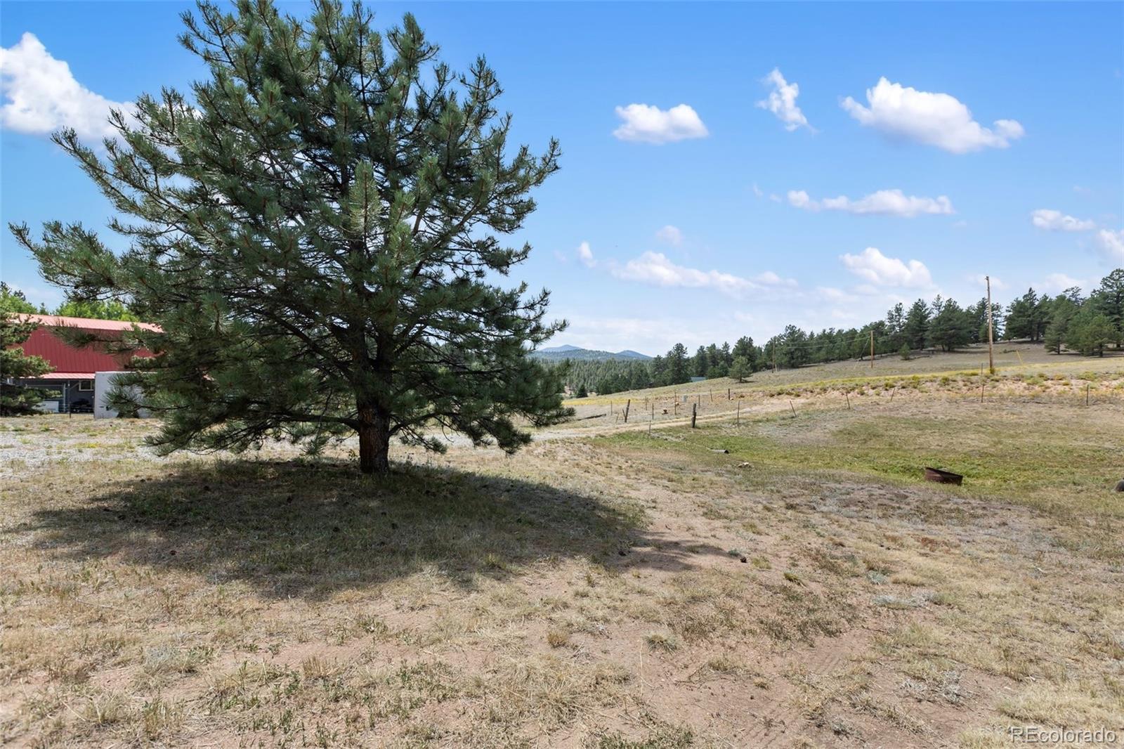 272 Spring Valley Trail Florissant CO 80816