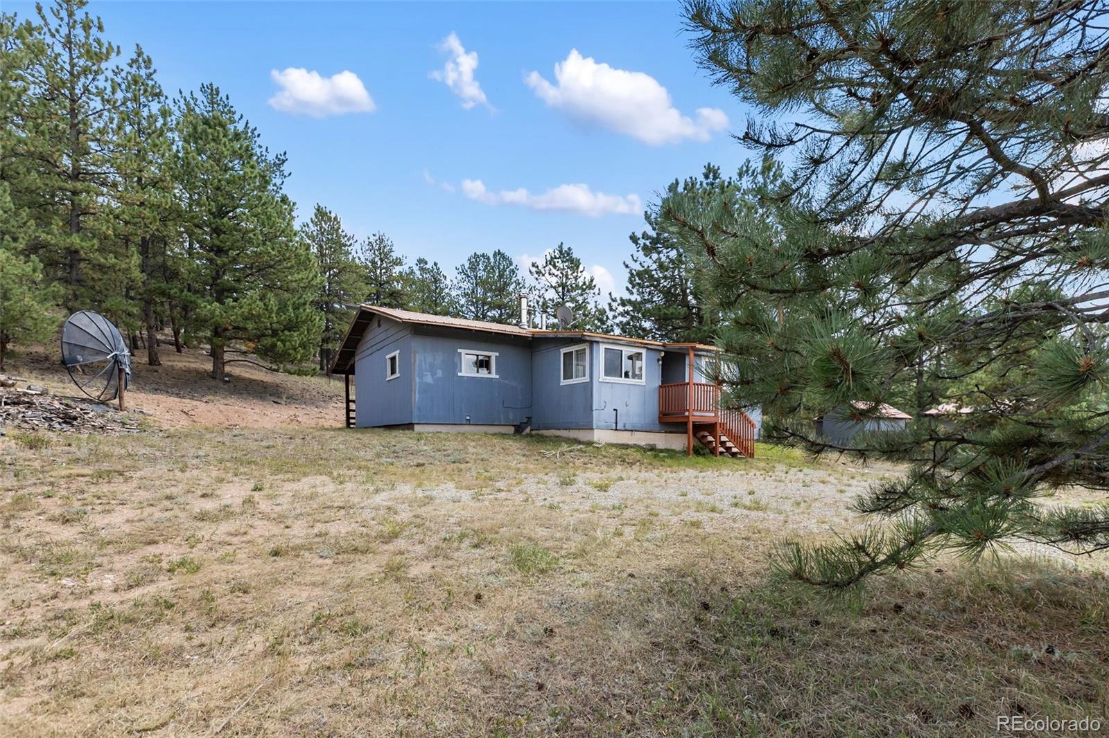 272 Spring Valley Trail Florissant CO 80816