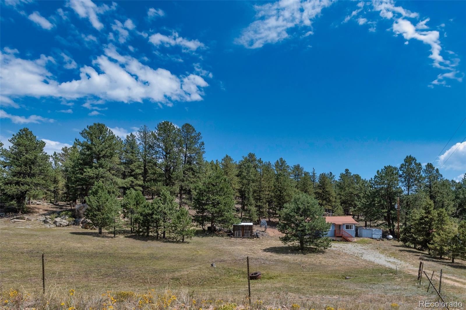 272 Spring Valley Trail Florissant CO 80816