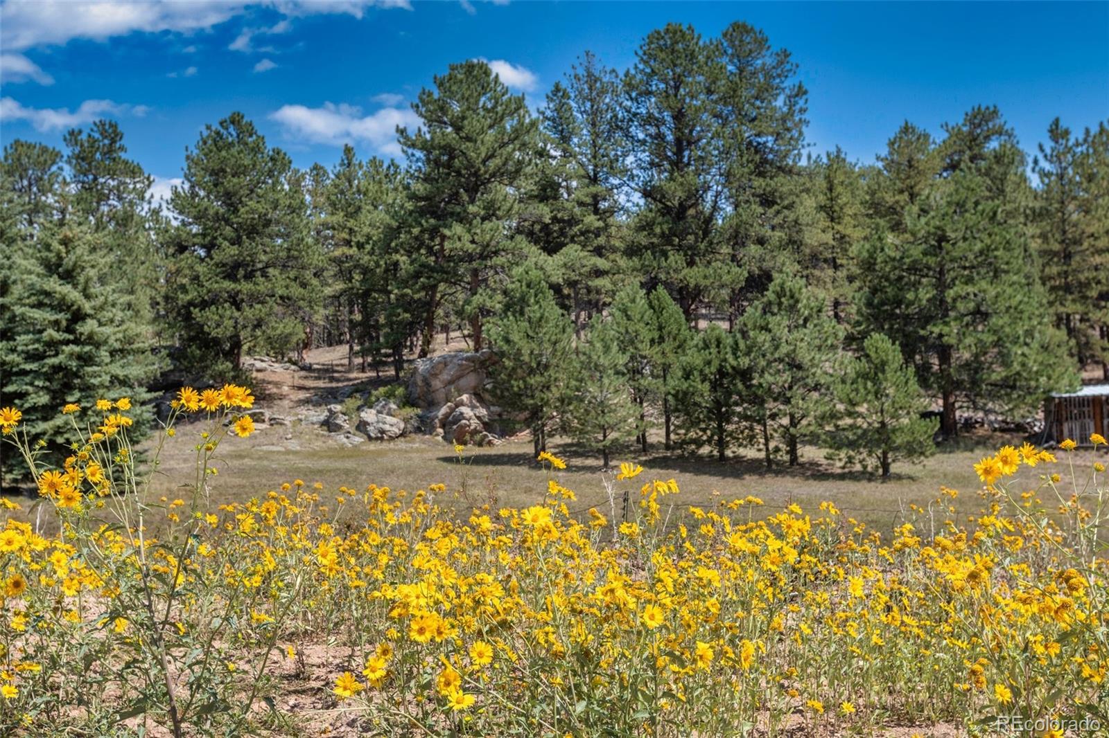 272 Spring Valley Trail Florissant CO 80816
