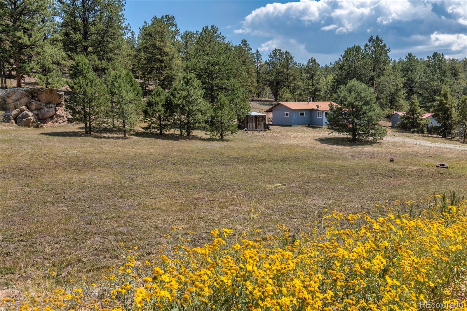 272 Spring Valley Trail Florissant CO 80816